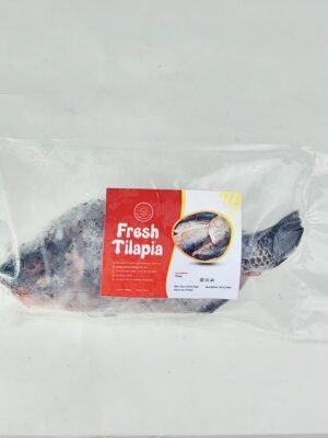 Fresh Tilapia