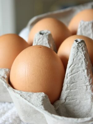 Fresh Eggs