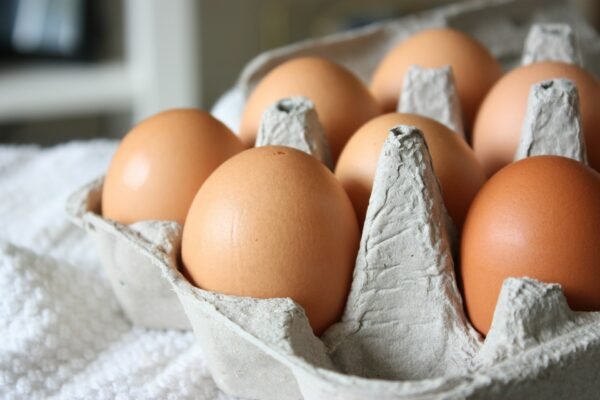 Fresh Eggs